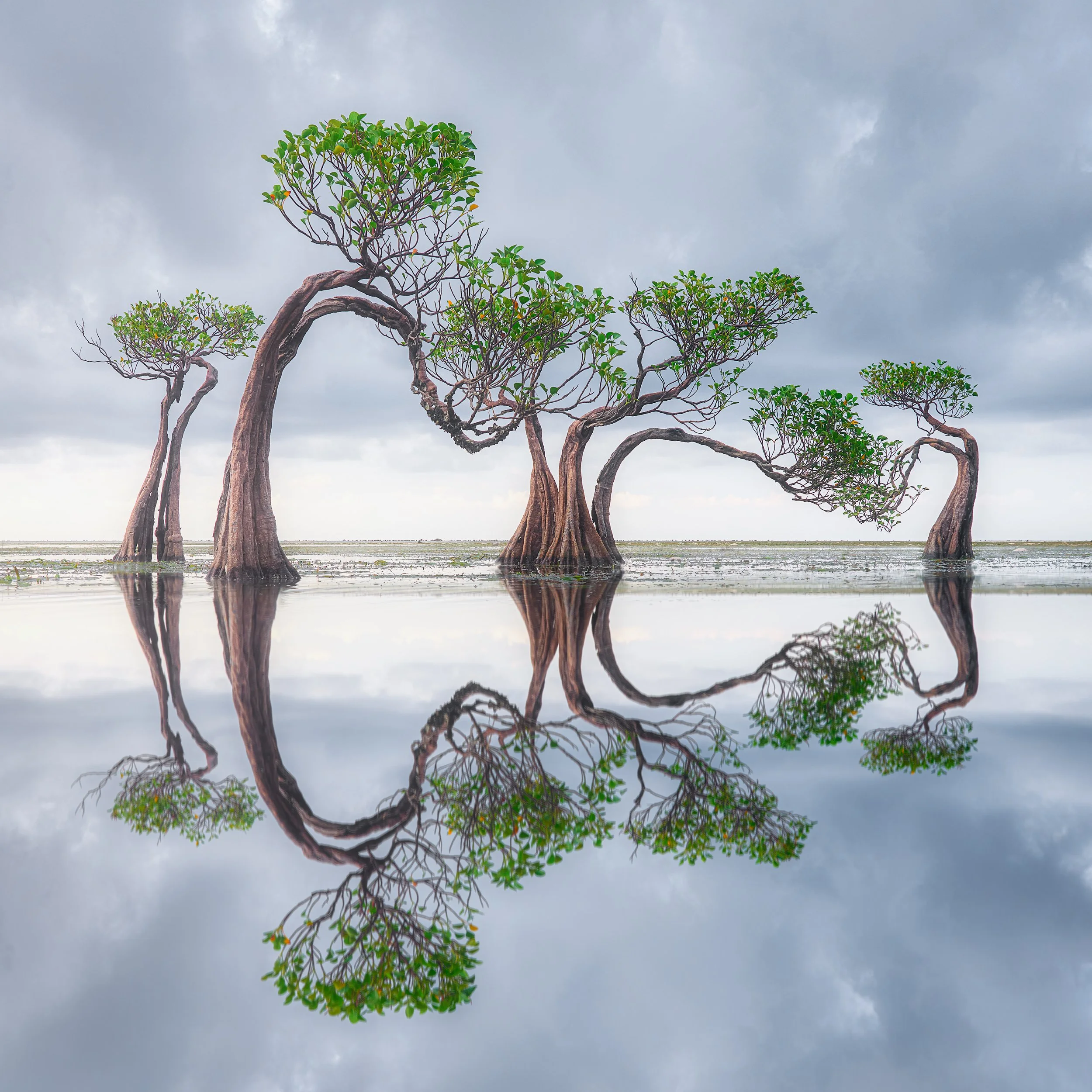 1-2-1 Virtual Sessions — Mark Denney | Landscape Photography